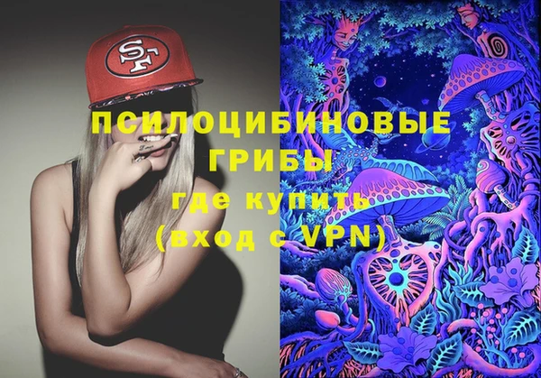 шишки Абдулино