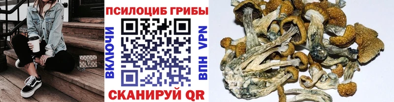 ОМГ ОМГ ссылки  цены   Змеиногорск  Псилоцибиновые грибы мухоморы 